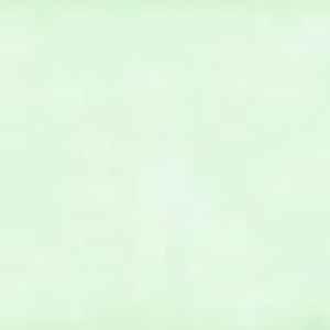 Meet your Posher, Luci